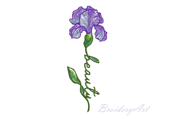 Beauty Iris: A Designer’s Review for Real Embroidery Projects
