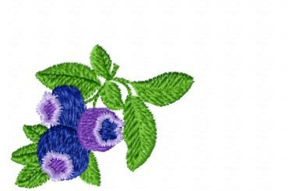 Blueberry Embroidery: A Boutique Designer’s Review