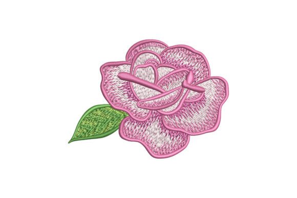 Рink Rose Flower: A Designer’s Review